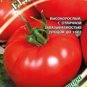 Томат Гвидон F1 12 шт. автор. Н12