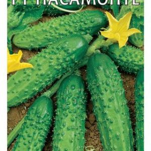 Огурец Пасамонте F1 0,3 г корнишон (Голландия) Н12