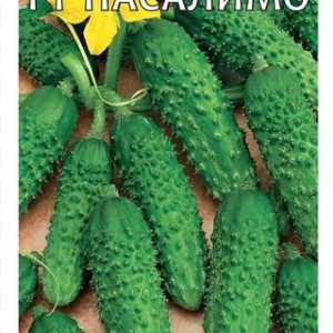 Огурец Пасалимо F1 0,3 г корнишон (Голландия) Н12