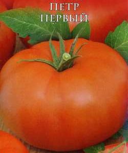 Томат Петр Первый 0,1 г сер. Русский вкус! Н11