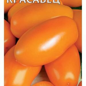 Томат Красавец 0,1 г Н12