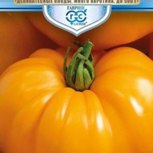 Томат Оранжевый слон 0,1 г серия Русский богатырь Н13