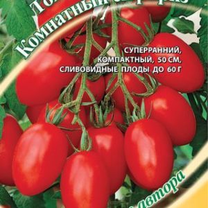 Томат Комнатный сюрприз 0,1 г автор. Н12