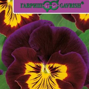 Виола Барон Махагон Виттрока F1 (Анютины глазки)* 5 шт. Саката Н12