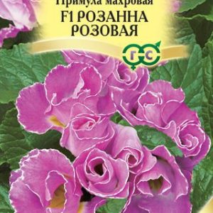 Примула Розанна розовая F1 махровая* 5 шт. Саката Н13