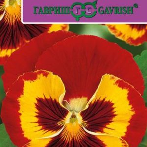 Виола Барон Красный Виттрока F1 (Анютины глазки)* 5 шт. Саката Н12