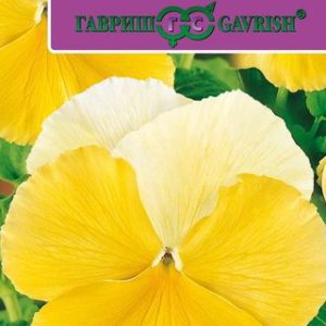 Виола Маячок желтый F1 Виттрока (Анютины глазки)* 5 шт.Саката Н12