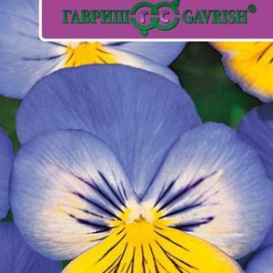 Виола Морфо F1 Виттрока (Анютины глазки)* 5 шт.Саката Н12