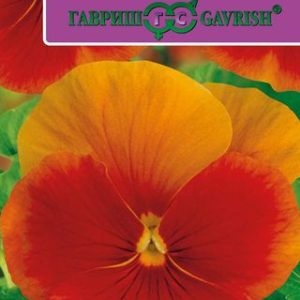 Виола Маячок бронзовый F1 Виттрока (Анютины глазки)* 5 шт. Саката Н12