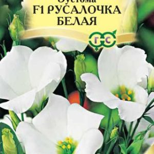 Эустома Русалочка белая F1 5шт. гранул. пробирка Саката Н12