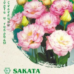 Эустома Эхо Шампань F1 5 шт. гранул. пробирка, Саката серия Эксклюзив