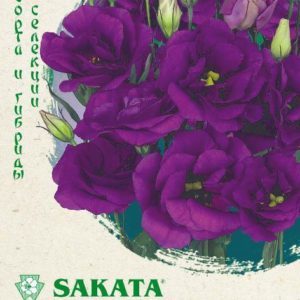 Эустома Эхо голубая F1 5шт. гранул. пробирка, Саката