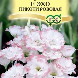 Эустома Эхо пикоти розовая F1 5шт. гранул. пробирка, Саката Н12