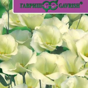 Эустома Фламенко лайм F1 5шт. гранул. пробирка Саката Н12