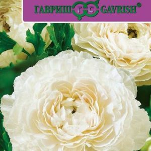 Ранункулюс Цветущая долина белая F1 3 шт. пробирка Саката Н12