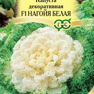 Капуста декоративная Нагойя белая F1* 7 шт.Саката Н12