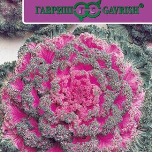 Капуста декоративная Нагойя красная F1* 7 шт.Саката Н12