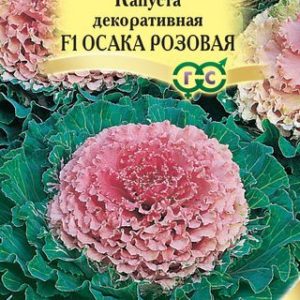 Капуста декоративная Осака розовая F1* 7 шт. Саката Н12