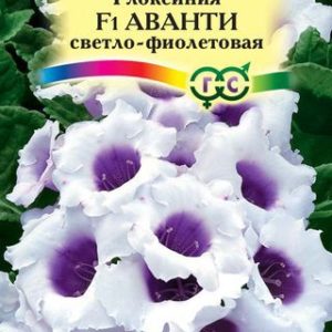 Глоксиния Аванти светло-фиолетовая F1гранул. 5 шт. пробирка Н12