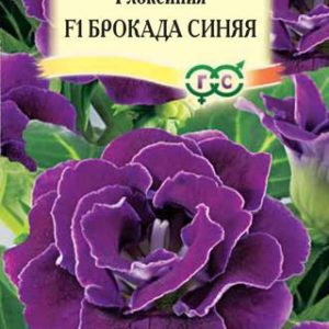 Глоксиния Брокада синяя F1гранул. 5 шт. пробирка Н12