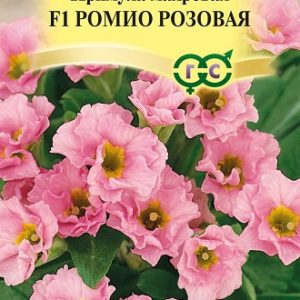 Примула Ромио розовая F1 махровая* 3 шт. Н13