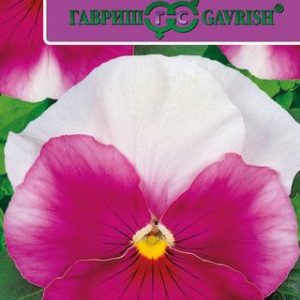 Виола Маячок розовый F1 Виттрока (Анютины глазки)* 5 шт.Саката Н12