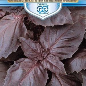 Базилик Русский гигант, фиолетовый 0,2 г серия Русский богатырь Н12