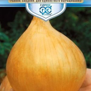 Лук репч. Богатырская сила 0,5 г серия Русский богатырь Н13