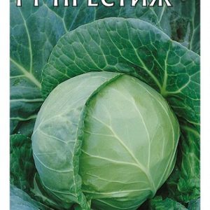 Капуста белокоч. Престиж F1* 0,1 г для хранения Н14