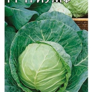 Капуста белокоч. Триумф F1* 0,1 г для квашения Н14