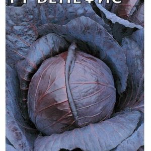 Капуста краснокоч. Бенефис F1 0,1 г H13