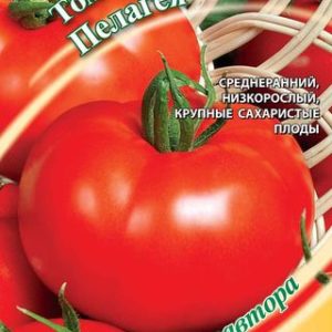 Томат Пелагея 0,1 г автор. крупнопл. Н12