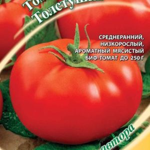 Томат Толстушка 0,1 г автор. Н12