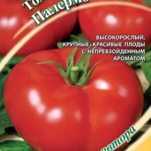 Томат Палермо 0,1 г автор. Н12