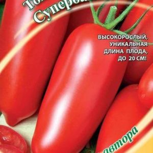 Томат Супербанан 0,1 г автор. Н12