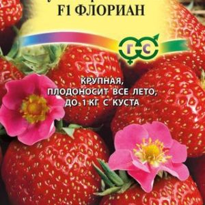 Клубника Флориан* F1 5 шт. Н13
