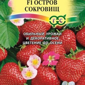 Клубника Остров сокровищ* F1 5 шт. Н13
