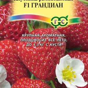 Клубника Грандиан* F1 5 шт. Н13