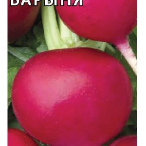 Редька Барыня 1,0 г Н13