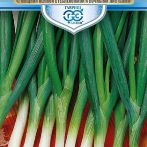 Лук батун Боярин 0,5 г серия Русский богатырь Н13