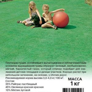 Газон Детский 1,0 кг