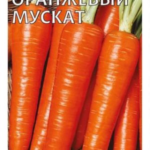 Морковь Оранжевый мускат 2 г автор. Н13