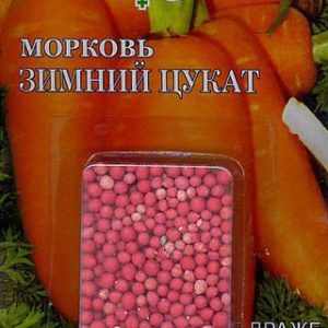 Морковь гранулир. Зимний цукат 300 шт. гель Н13