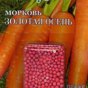 Морковь гранулир. Золотая осень 300 шт. гель Н13