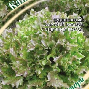 Салат Каньон 0,5 г листовой, хрустящ. автор. Н12