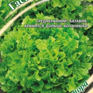 Салат Гасконь 0,5 г листовой, хрустящ. автор. Н12