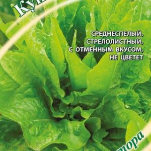 Салат Купидон 0,5 г листовой, зеленый автор. Н12