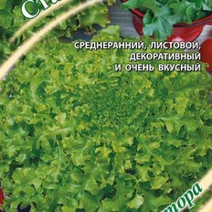 Салат Ставр 0,5 г листовой, хрустящий автор. Н12