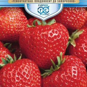 Клубника Гигант русский* F1 5 шт. сер. Русский богатырь Н13