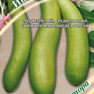 Баклажан Иога, зеленоплодный 0,3 г автор. Н13